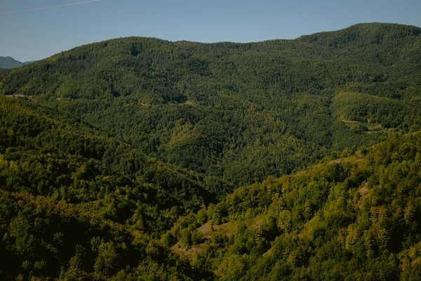 Qu'est-ce qui fait de « Question pour un champion » un jeu télévisé indétrônable en France ?