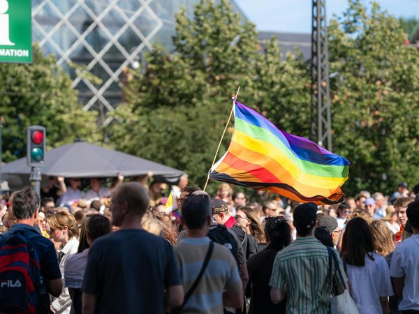 Conseils pour une croisière optimale en antarctique